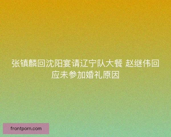 张镇麟回沈阳宴请辽宁队大餐 赵继伟回应未参加婚礼原因